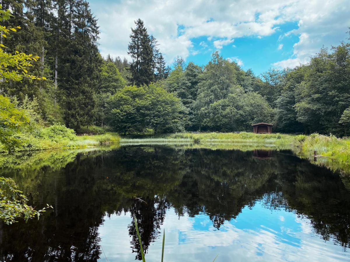 B&B Am Oker, Altenau, Harz アルテンアウ エクステリア 写真