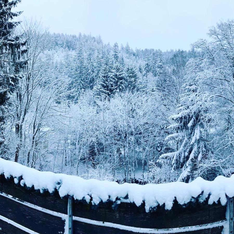 B&B Am Oker, Altenau, Harz アルテンアウ エクステリア 写真